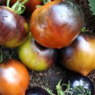 Chestnut Chocolate Tomato Seeds Very Dark Tomato