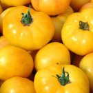 Golden Queen Tomato Seeds