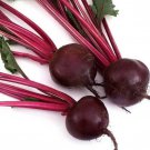 Early Wonder Beet Seeds