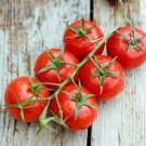 Jumbo Red Cherry Stuffing Tomato Seeds