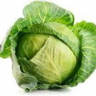 Brunswick Cabbage Seeds