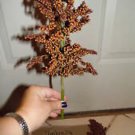 Umbrella Sorghum Seeds Make Your Own Syrup