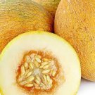Sharlyn Melon Seeds