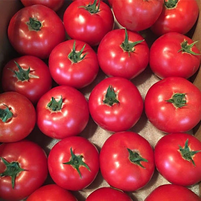 Sweet Home Tomato Seeds