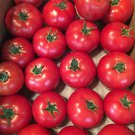 Sweet Home Tomato Seeds