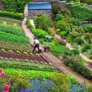 Jumbo Garden Survival Garden Emergency Food Seeds 75 Kinds Usa Seeds