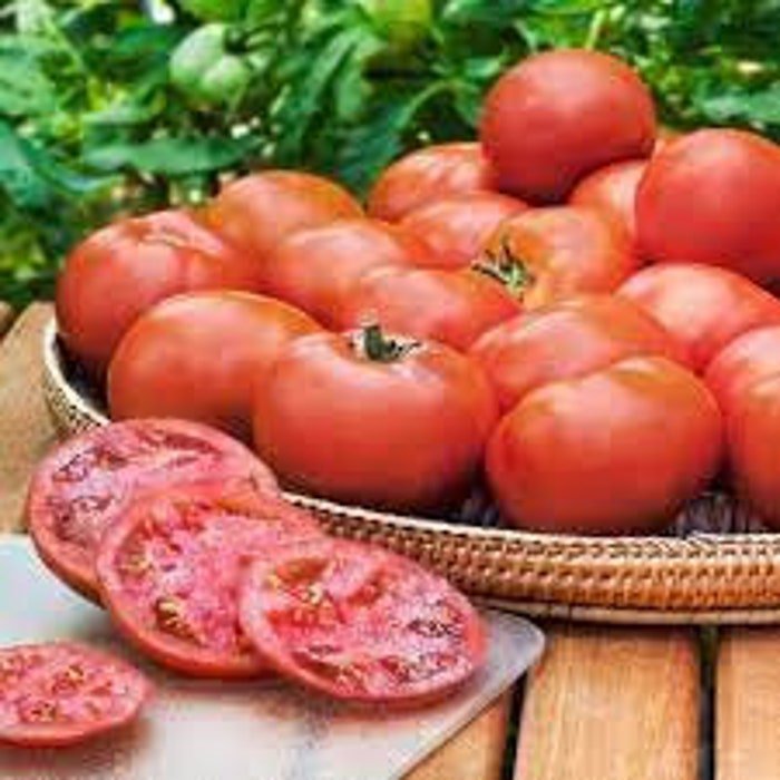 Floradale Tomato Seeds