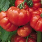 Burgundy TravelerS Tomato Seeds