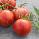 Cascade Lava Tomato Seeds