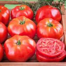 Ace 55 Tomato Seeds
