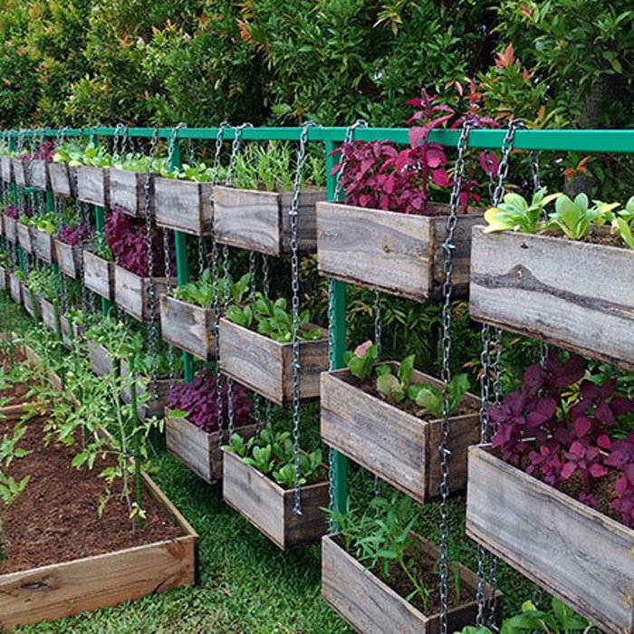 Small Garden Survival Garden Emergency Food Seeds 20 Kinds Usa Seeds
