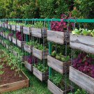 Small Garden Survival Garden Emergency Food Seeds 20 Kinds Usa Seeds