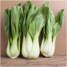Pak Choi Cabbage Seeds