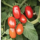 Red Grape Tomato Seeds