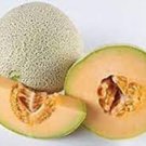 Top Mark Melon Seeds