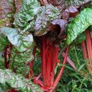 Ruby Red Swiss Chard Seeds