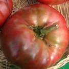 Black From Tula Tomato Seeds