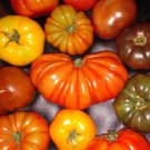 Tomato Mix All Large Kinds 20 Seeds