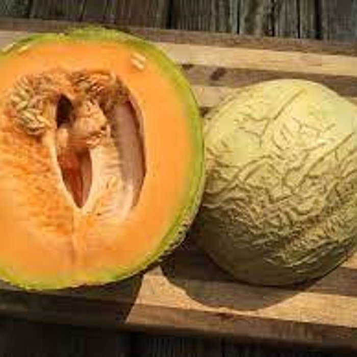 Amish Cantaloupe Seeds