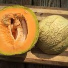 Amish Cantaloupe Seeds