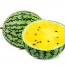 Petite Yellow Watermelon Seeds Mini Watermelons