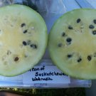 Cream Of Sasketchewan Watermelon Seeds