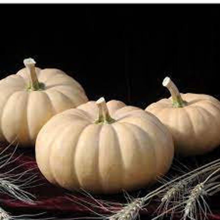 Autumn Crown Pumpkin Seeds