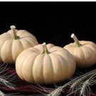 Autumn Crown Pumpkin Seeds