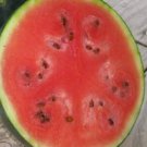 Blacktail Mountain Watermelon Seeds