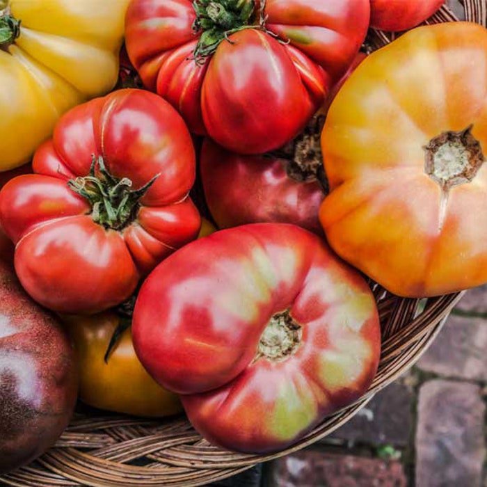 Special Meaty Tomato Seed Mix