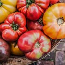 Special Meaty Tomato Seed Mix