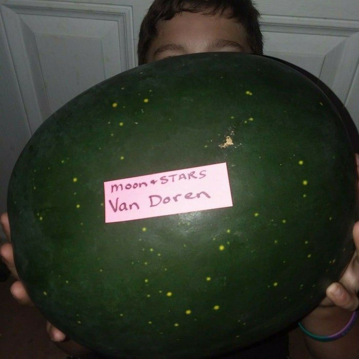 Watermelon Moon & Stars Van Doren