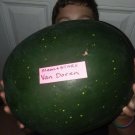 Watermelon Moon & Stars Van Doren
