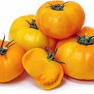 Yellow Brandywine Tomato