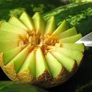 Rocky Ford Green Flesh Melon
