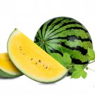 Yellow Doll Watermelon