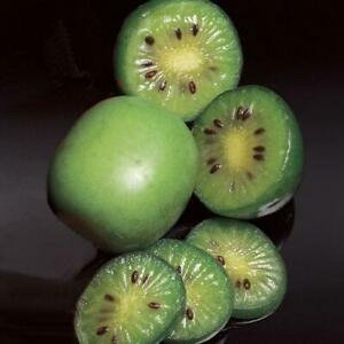 Southern Mini Kiwi Berries