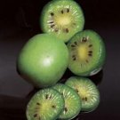 Southern Mini Kiwi Berries