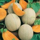Sierra Gold Cantaloupe