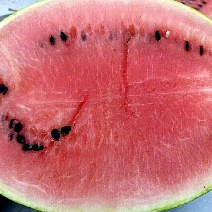 Picnic Watermelon