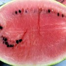 Picnic Watermelon