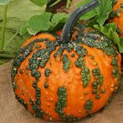 Small Warty Goblin Pumpkin