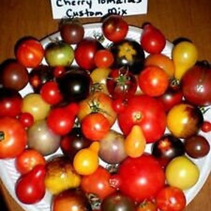 Mix Of 37 Different Kind Of Cherry Tomato See List