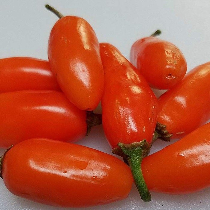 Orange Spice Jalapeno Pepper