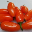 Orange Spice Jalapeno Pepper
