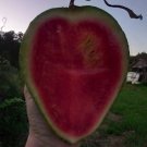 Razberry Watermelon
