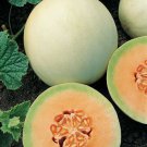 Bright Orange Flesh Cantaloupe