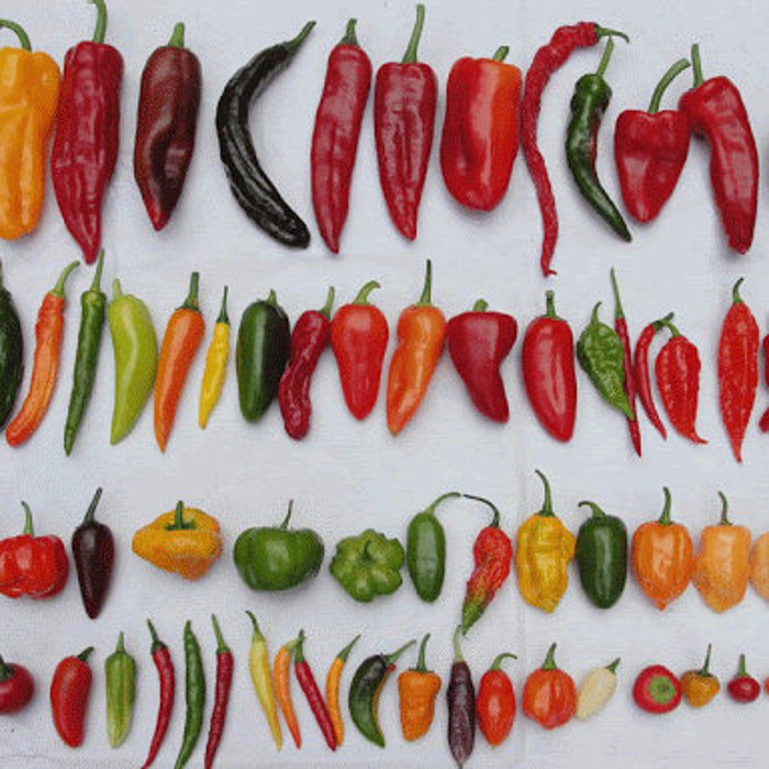 Custom Hot Pepper Mix Made From 70 Kinds