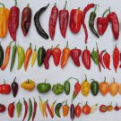 Custom Hot Pepper Mix Made From 70 Kinds