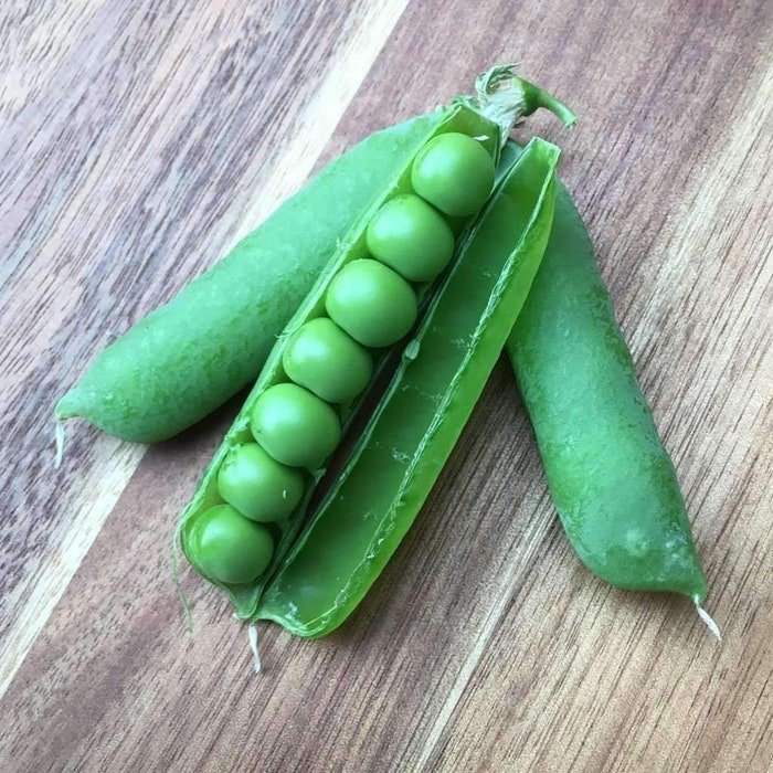 Pea Early Frosty